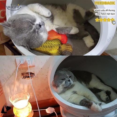 Nhà điều hòa Cozy