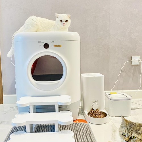 Máy dọn phân tự động