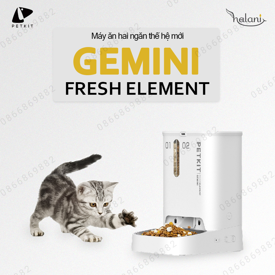 Máy ăn Gemini