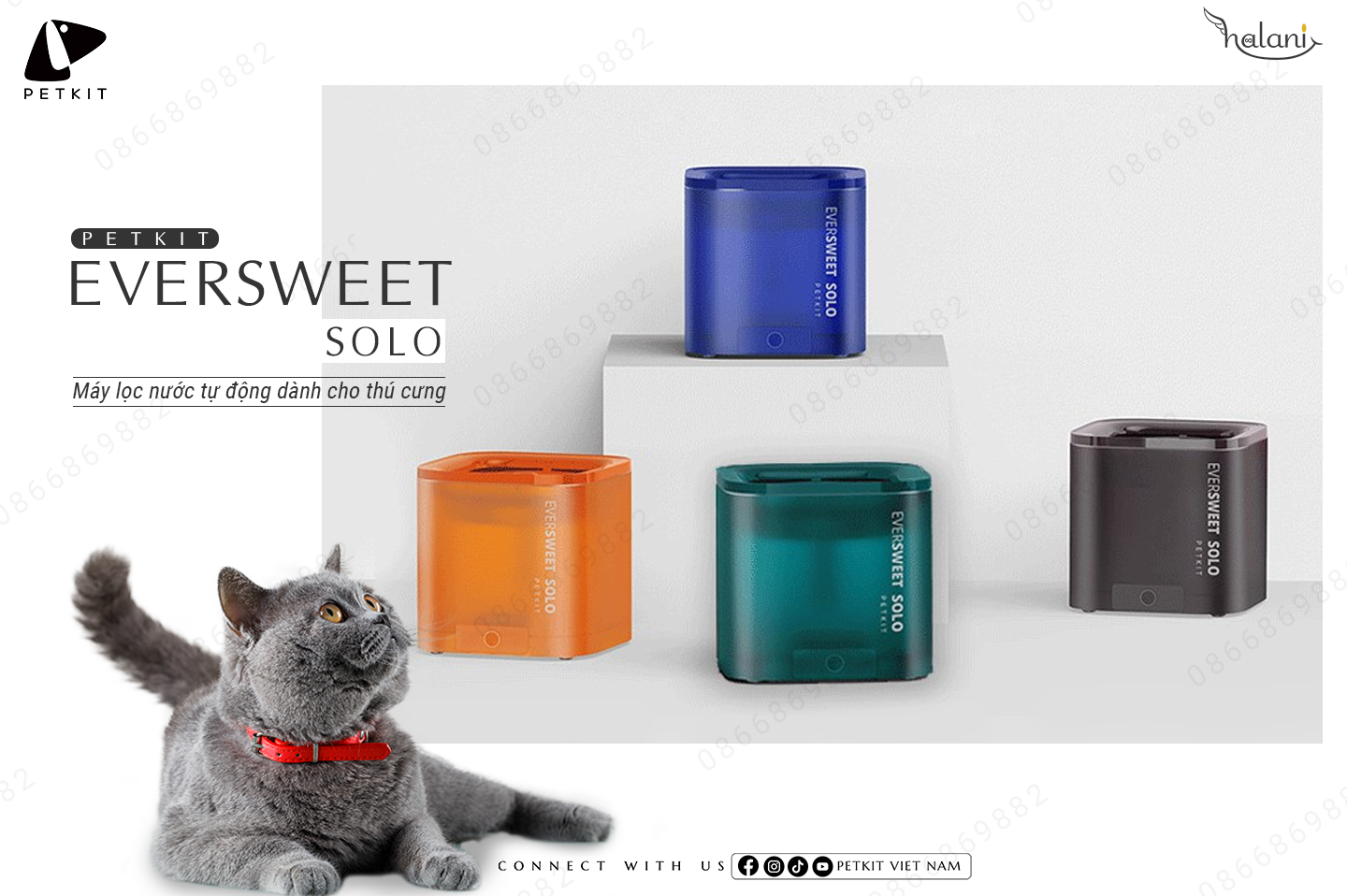 máy nước petkit eversweet solo