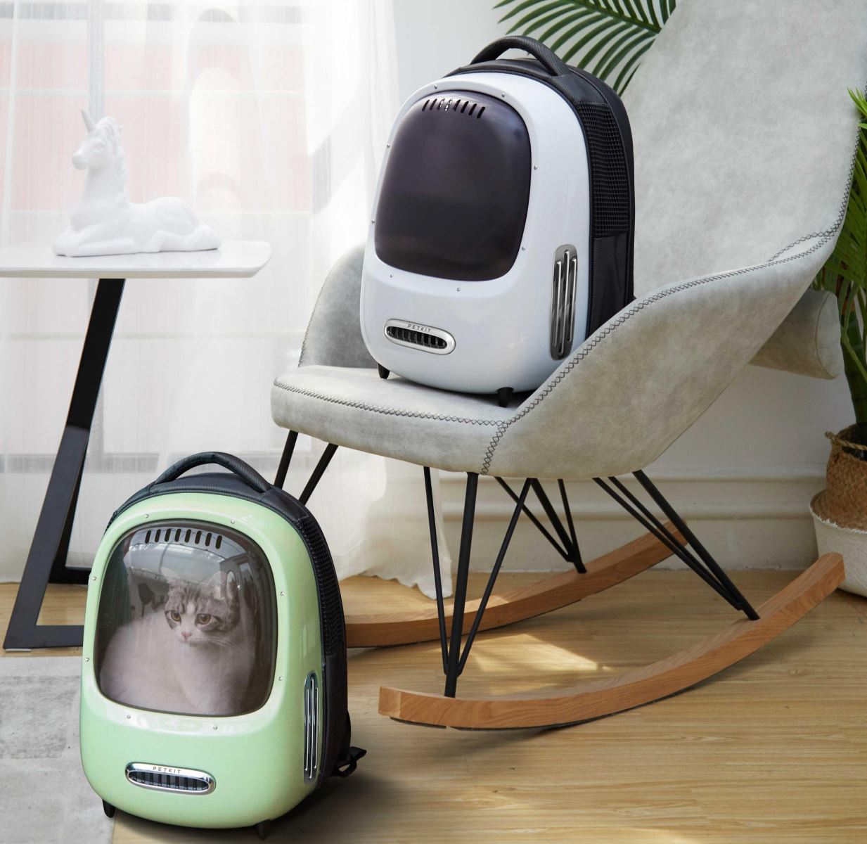 Balo Petkit đi dạo, balo vận chuyển thú cưng