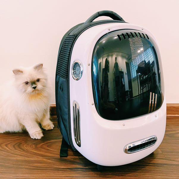 Balo Petkit