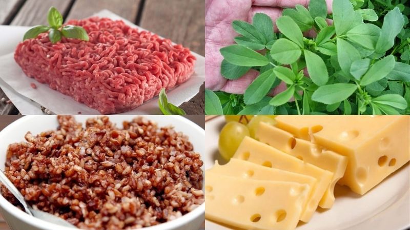 làm pate cho mèo tại nhà 3