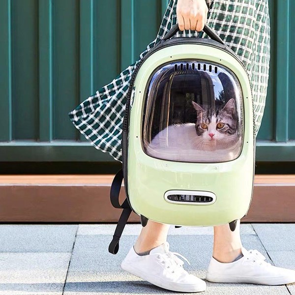 Ngắm nhìn thế giới cùng Pet của bạn 