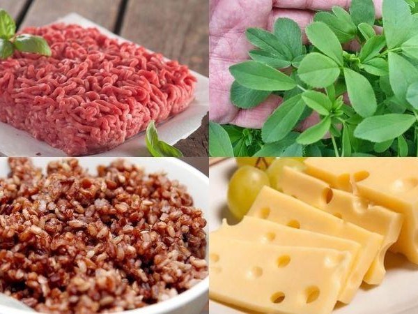  Làm Pate cho mèo ngon, bổ, rẻ, dễ làm tại nhà