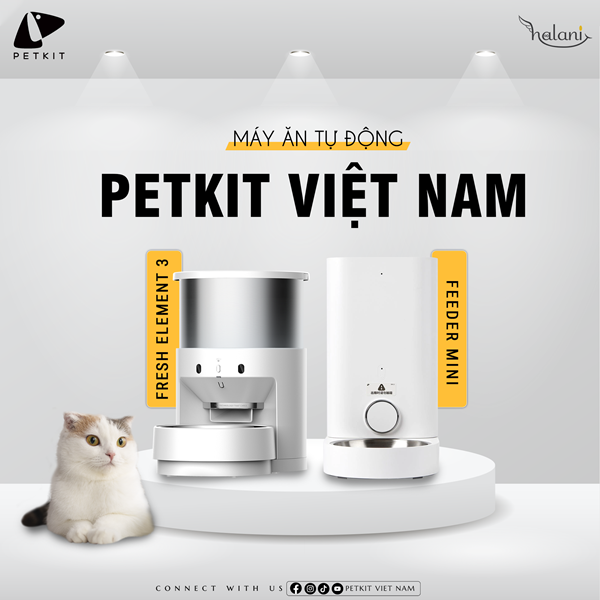 Petkit có những loại máy ăn nào