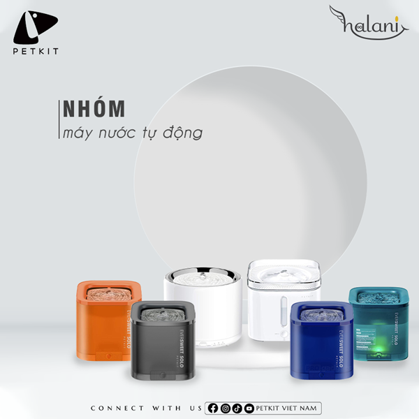 Lựa chọn máy nước phù hợp cho thú cưng cùng Petkit