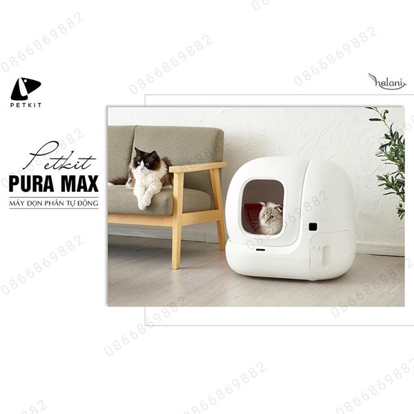 Quà tặng cực chất khi mua máy vệ sinh tự động Pura Max nhà Petkit