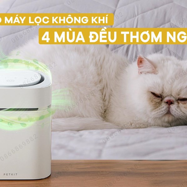 ĐẬP HỘP MÁY LỌC KHÔNG KHÍ PETKIT AIR MAGICUBE